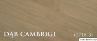 Panele laminowane Alpina Floor Dąb Cambridge AC 5, 12,3 mm