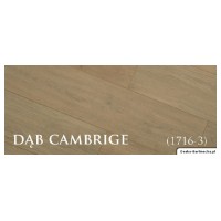 Panele laminowane Alpina Floor Dąb Cambridge AC 5, 12,3 mm