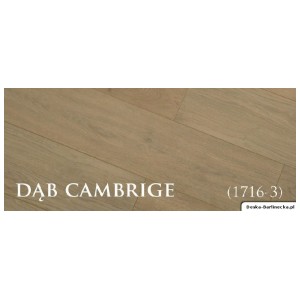 Panele laminowane Alpina Floor Dąb Cambridge AC 5, 12,3 mm