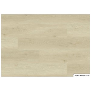 Panele winylowe JOKA Design 555 Wooden Styles Click Oak Light 701X