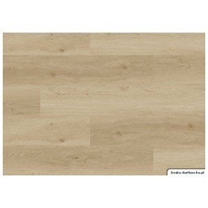 Panele winylowe JOKA Design 555 Wooden Styles Click Oak Blond 704X